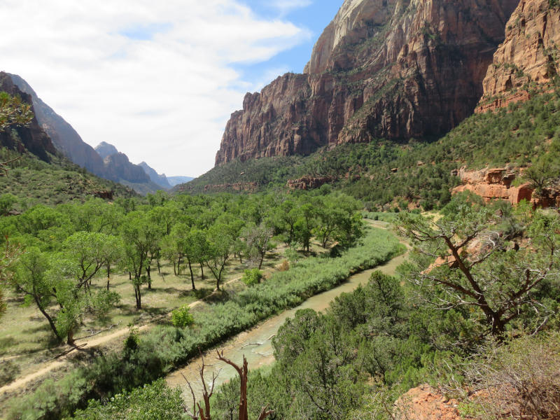 Zion View USA